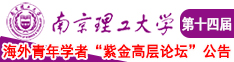 啊…小穴被草坏了视频南京理工大学第十四届海外青年学者紫金论坛诚邀海内外英才！